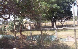 2 ha Farm in Mooilande