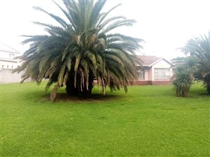 4 Bed House in Maraisburg