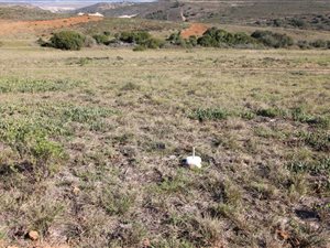 1520 m² Land available in Hartenbos