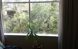 1.5 Bedroom Apartment in Parkmore