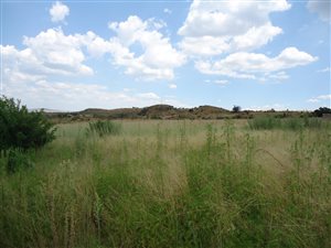 1467 m² Land available in Berg en Dal