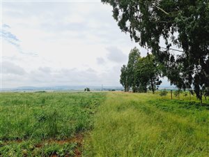 8.5 ha Farm in Tarlton