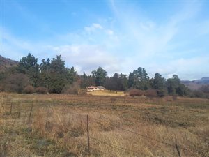 556.7 ha Farm in Kokstad