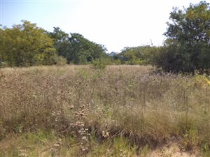 1.8 ha Land available in Broadacres