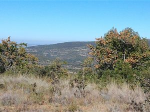 1 ha Land available in Bela-Bela (Warmbaths)