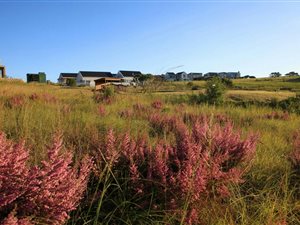1327 m² Land available in Welgelegen