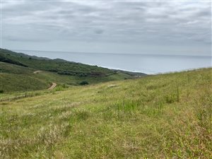 1272 m² Land available in Seaton Estate