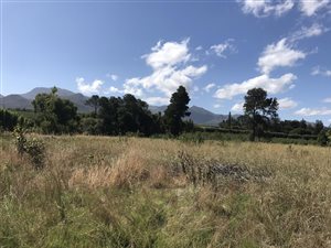 9010 m² Land available in Elgin