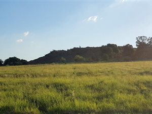 1500 m² Land available in Berg en Dal