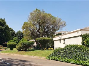 1 Bed Apartment in Bedfordview