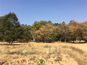 3.8 ha Farm in Die Wilgers