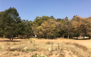 3.8 ha Farm in Die Wilgers