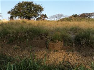 1580 m² Land available in Elysium