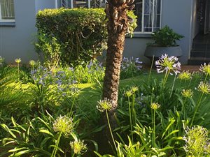 2 Bed House in Roseville