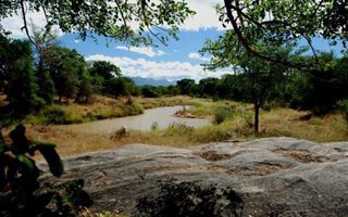 6700 m² Land available in Zandspruit Bush and Aero Estate