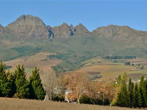 1.2 ha Farm in Stellenbosch Central