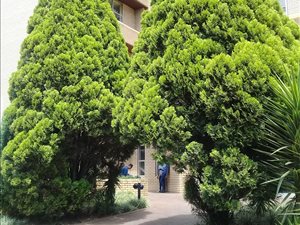 1150 m² Commercial space in New Doornfontein