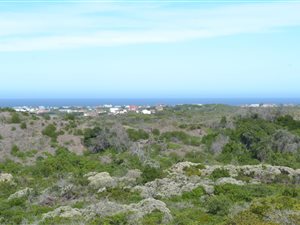6995 m² Land available in Cape St Francis