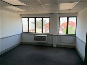 383 m² Office Space in Allandale