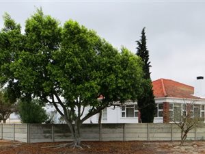 4 Bed House in Laaiplek