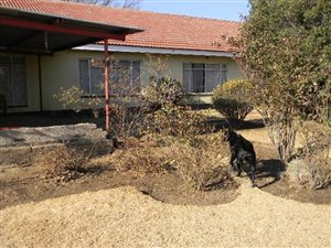 2.5 ha Farm in Nelsonia