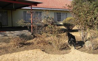 2.5 ha Farm in Nelsonia