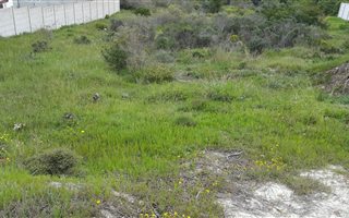 700 m² Land available in Seemeeu Park