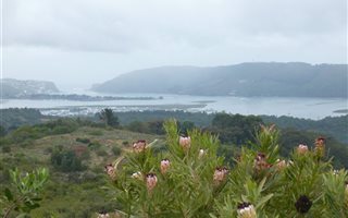 21 ha Land available in Blaricum Heights