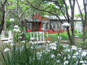 Game Farm in Pietermaritzburg Central