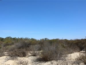 744 m² Land available in Redelinghuys