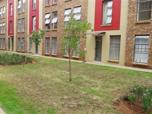 2 Bed Simplex in Die Wilgers