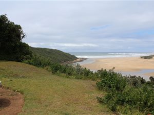 61.7 ha Farm in Kidds Beach