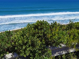 1003 m² Land available in Tergniet