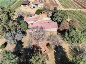 16.3 ha Farm in Riversdale