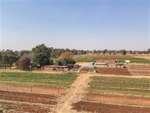 16.3 ha Farm in Riversdale