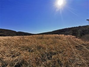 10.5 ha Land available in East London Rural