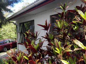 3 Bed House in Greenfields