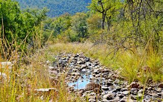 3787 ha Farm in Rooiberg
