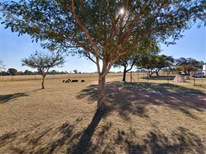 22 ha Farm in Honingnestkrans