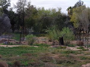 1002 m² Land available in Oudtshoorn