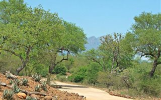5757 m² Land available in Blyde Wildlife Estate