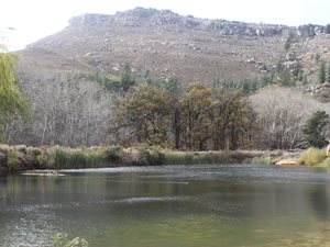 869 ha Farm in Ceres