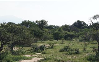 1 ha Land available in Moditlo Nature Reserve