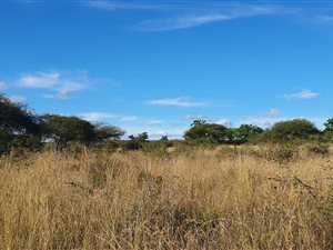 4.4 ha Farm in Ivydale