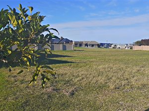 614 m² Land available in Blue Mountain Village