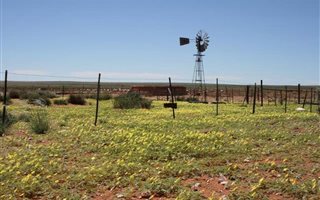 3 Bedroom House in Springbok