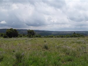 5000 m² Land available in Zwavelpoort