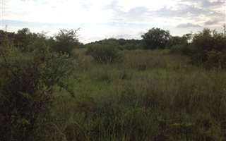 3.2 ha Land available in Buffelsdrift