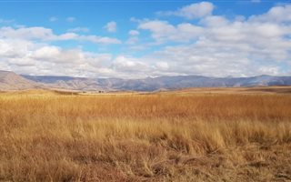 461.7 ha Farmland in Newcastle Central