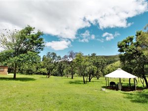 33 ha Farm in Modimole (Nylstroom)